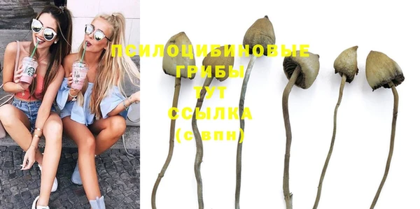 твердый Балахна