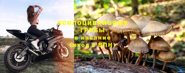 гидропоника Арсеньев