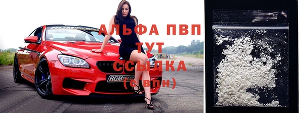стаф Аркадак
